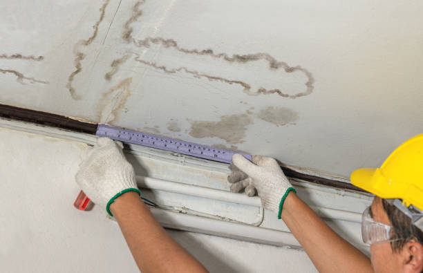 Reliable Structural Drying contractor in Harrisville, NH by Water Damage Irwin